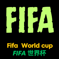 董路中国足球小将项目回顾与成就分析
