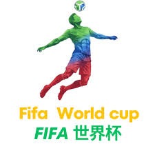 瑞士队在世界杯小组赛中力克波黑队